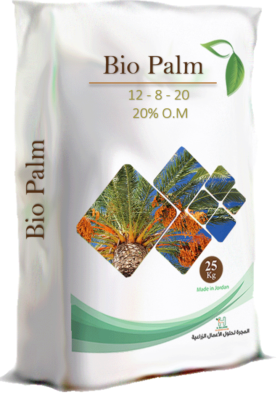 palm palm